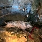 WP_20160808_12_59_36_Pro