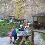 WP_20160808_13_23_26_Pro