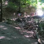 WP_20160808_14_58_11_Pro