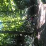 WP_20160808_14_59_25_Pro