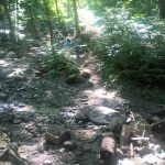 WP_20160808_14_59_43_Pro