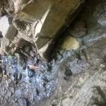 WP_20160808_15_07_07_Pro