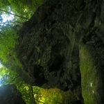 WP_20160808_15_21_19_Pro