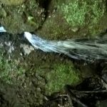 WP_20160808_15_32_40_Pro