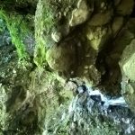 WP_20160808_15_32_45_Pro