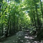 WP_20160808_15_54_48_Pro