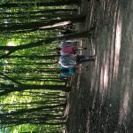 WP_20160808_16_04_54_Pro