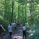 WP_20160808_16_12_00_Pro