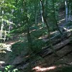 WP_20160808_16_24_26_Pro