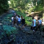 WP_20160808_16_24_56_Pro