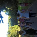 WP_20160808_16_38_48_Pro