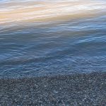 WP_20160808_17_28_43_Pro