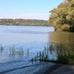 WP_20160808_17_40_54_Pro