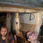 WP_20160809_11_11_09_Pro