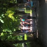 WP_20160809_13_45_29_Pro